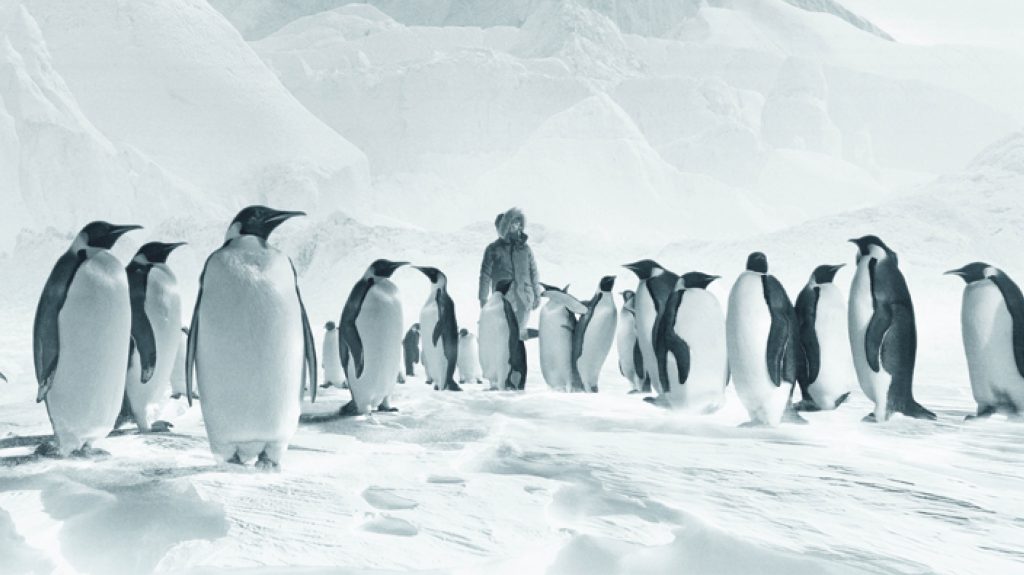 Bande-annonce - Voyage au Pôle Sud